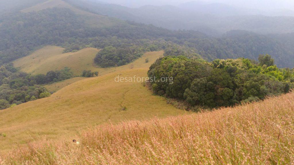 Ajjikunja Peak (Valikunja Peak)